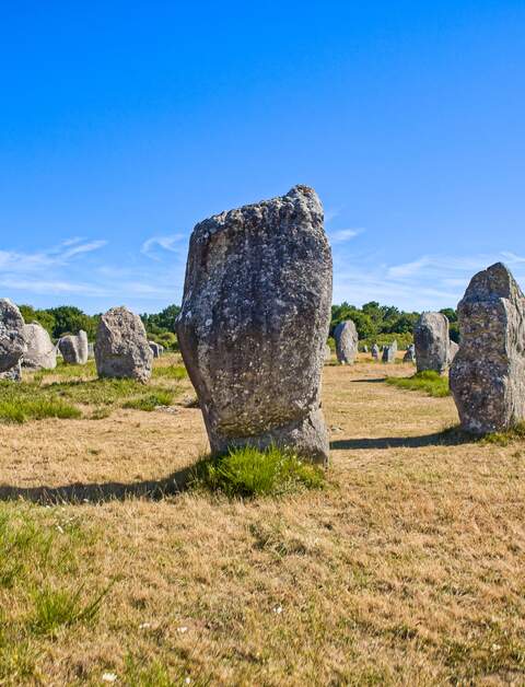 Prähistorische Menhire auf einem Feld bei Carnac | © gettyimages.com/mschauer