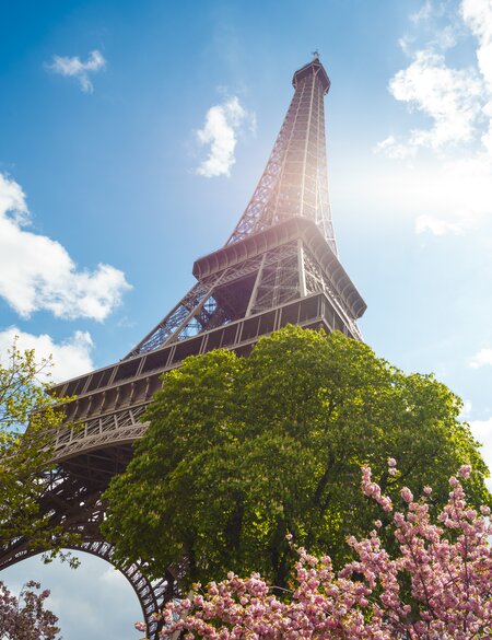 Fruehling in Paris - Untersicht auf den Eiffelturm und Kirschblueten | © Gettyimages.com/Brzozowska