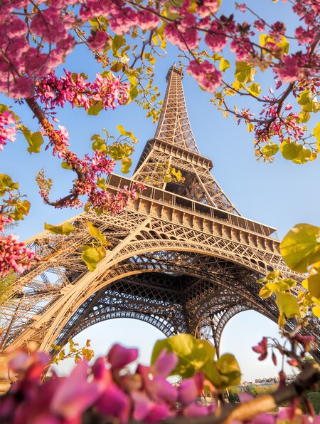 Der Eifelturm in Paris im Frühling bei blauem Himmel mit Kirschblüten an einem Baum im Vordergrund | © GettyImages.com/extravagantni