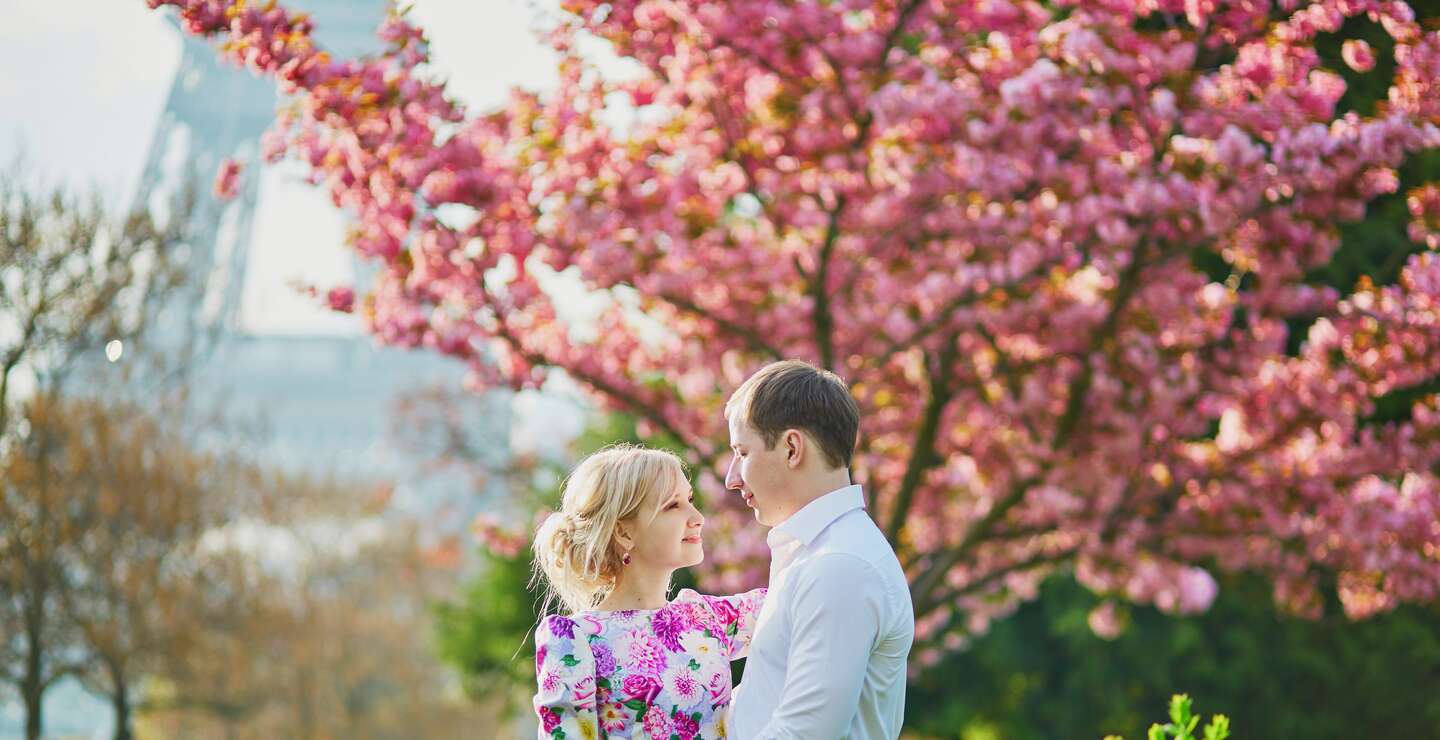 Paar sitz auf einer Bank vor einem rosa blühendem Kirschbaum in Paris, im Hintergrund ist der Eiffelturm zu sehen | © gettyimages.com/encrier