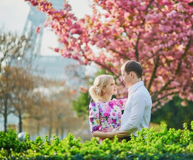 Paar sitz auf einer Bank vor einem rosa blühendem Kirschbaum in Paris, im Hintergrund ist der Eiffelturm zu sehen | © gettyimages.com/encrier
