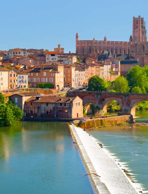 Blick auf die Kirche von Albi mit den Häusern im Vordergrund, sowie ein Fluss und die  Brücke | © gettyimages.com/SergiyN