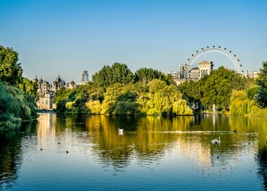 St. James Park in London an einem sonnigen Tag | © Gettyimages.com/Circle Creative Studio