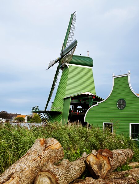 Uferszene der Gruenen Windmuehlen, mit Schliff und Baumstämmen, in Zaanse Schans bei Amsterdam in den Niederlanden | © Gettyimages.com/mareandmare