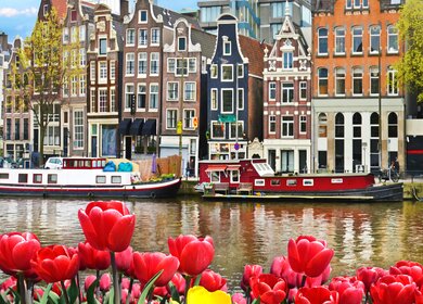 Wunderschoene Landschaft mit Tulpen und Haeusern in Amsterdam, Holland | © gettyimages.com/andrijter