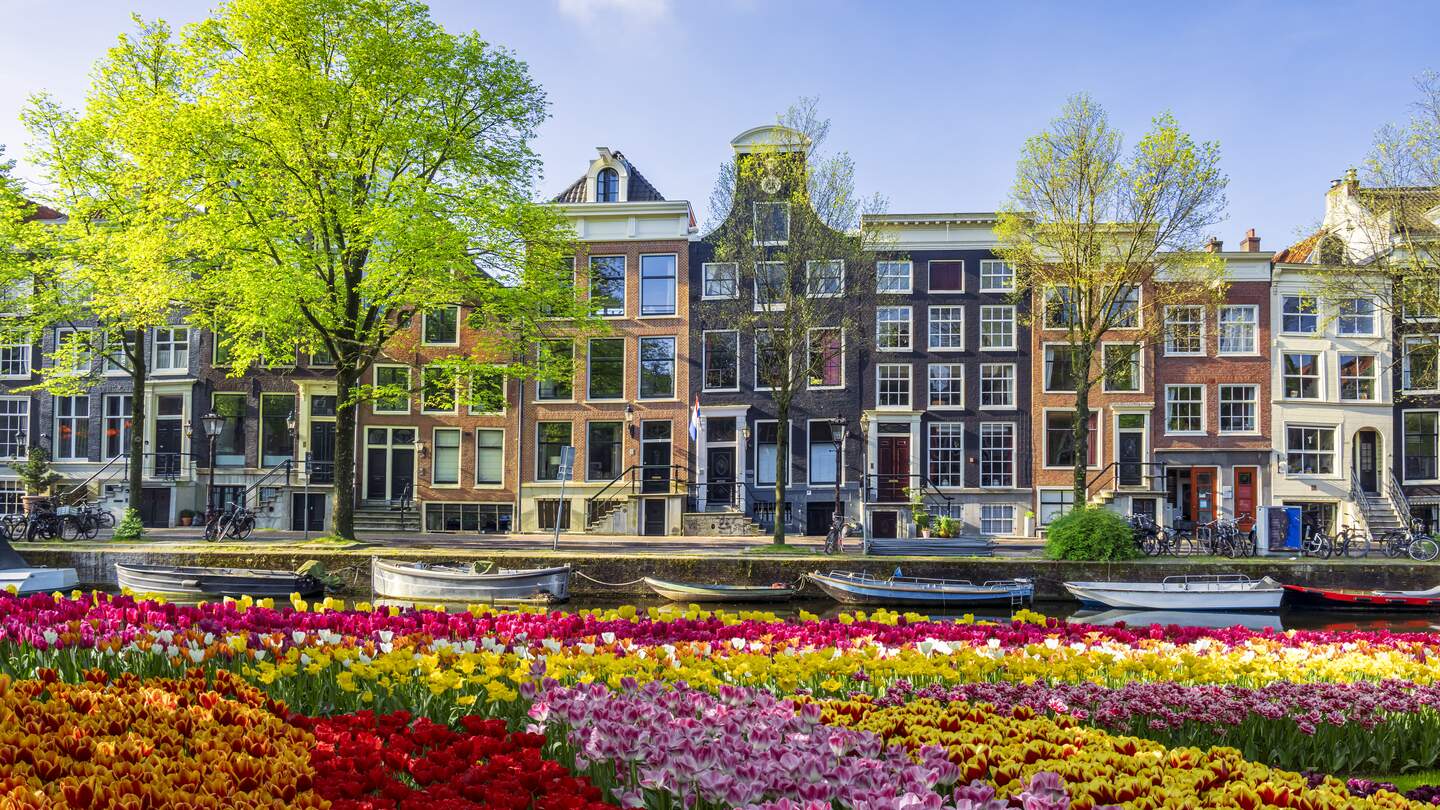 Stadthäuser in Amsterdam an der Uferpromenade und den Grachten mit Frühlingstulpen | © GettyImages.com/JacobH