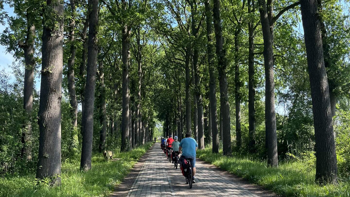 Eine Gruppe Fahrradfahrer fährt durch einen Wald im Van Gogh Nationalpark in Brabant | © Laura Müller