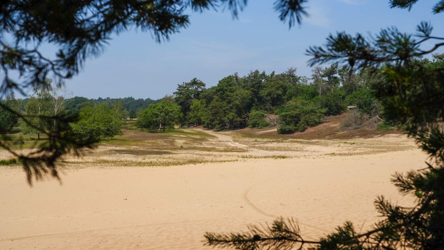 Eine Wüstenlandschaft mit Sand findet sich auch im niederländischen Brabant. | © Christian König