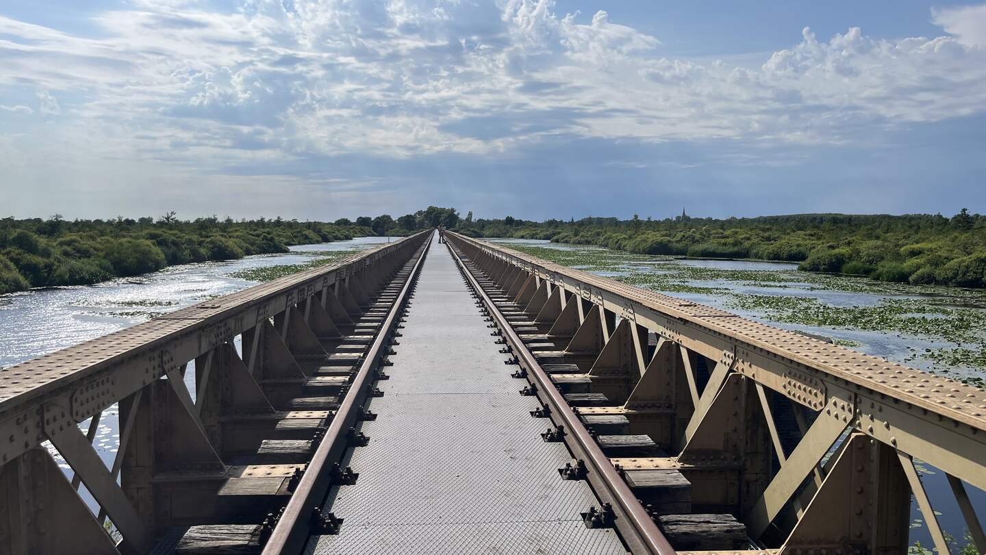 Die verlassene, ehemalige Eisenbahnbrücke im Naturpark von Moerputten in Brabant | © Laura Müller