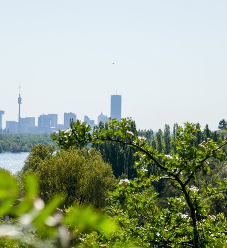 Kahlenberg im Wienerwald mit atemberaubender Aussicht | © Gettyimages.com/kitz-travellers