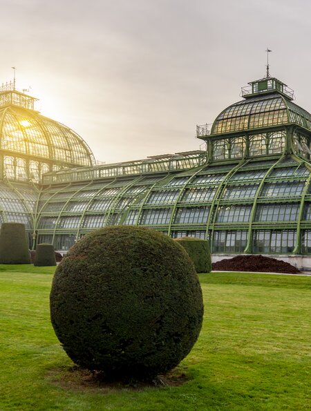 Glaeesernes Palmenhaus in Wien im Schoenbrunner Park | © Gettyimages.com/Vladislav Zolotov
