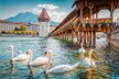 Schweiz_luzern_see | © © bluejayphoto