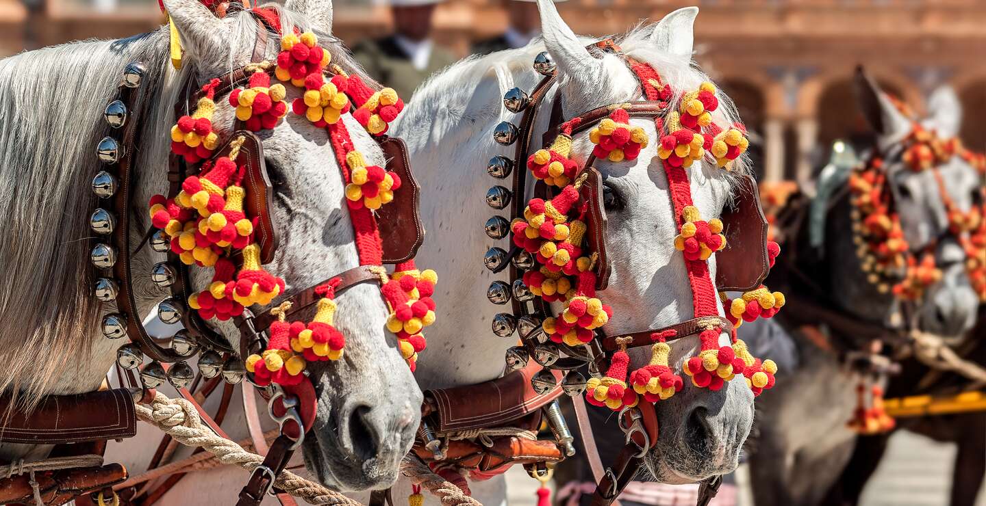 Zwei weisse Pferde, geschmueckt mit leuchtend roten und gelben Dekorationen, nehmen an einem traditionellen Fest Feria del Caballo | © Gettyimages.com/Francisco Javier Ortiz Marzo