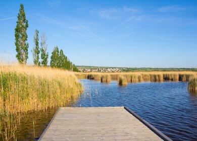Strand In Mörbisch am See Neusiedl In Österreich  | © Gettyimages.com/RenepI