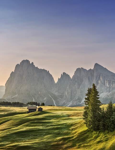 Alpe di Siusi Sonnenaufgang mit Langkofel oder Langkofel Berggruppe im Hintergrund | © Gettyimages.com/dietermeyrl