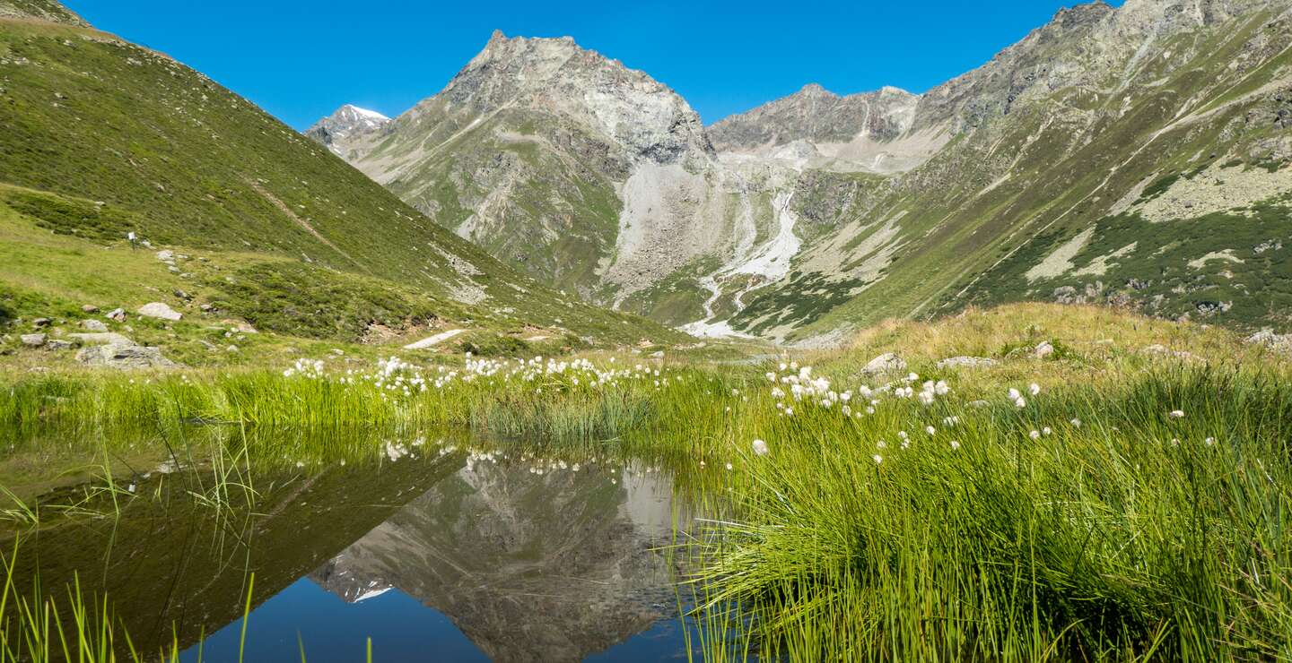 Schöne Hochgebirgslandschaft mit dem Rifflsee im Pitztal bei Sonnenschein und mit saftigen grünen Wiesen | © Gerttyimages.com/jacquesvandinteren