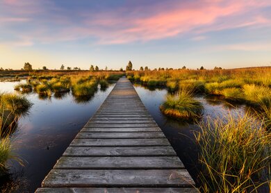 Sonnenuntergang über dem See in den hohen Mooren, Belgien | © © Gettyimages.com/caputolaurent