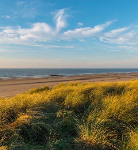 Dünen am Strand in Belgien | © gettyimages.com/SL_Photography