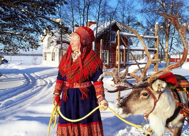 Finnland Rentier  Schlittenfahrt Schnee | © Visit Finland