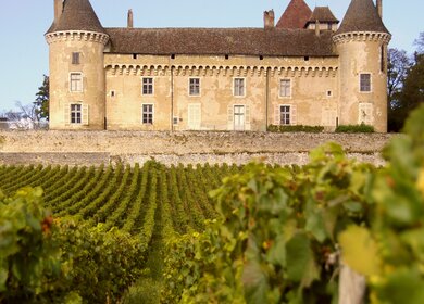 Schloss Bazoches in Burgund mit Weinreben im Vordergrund | © Gettyimages.com/Ngataringa