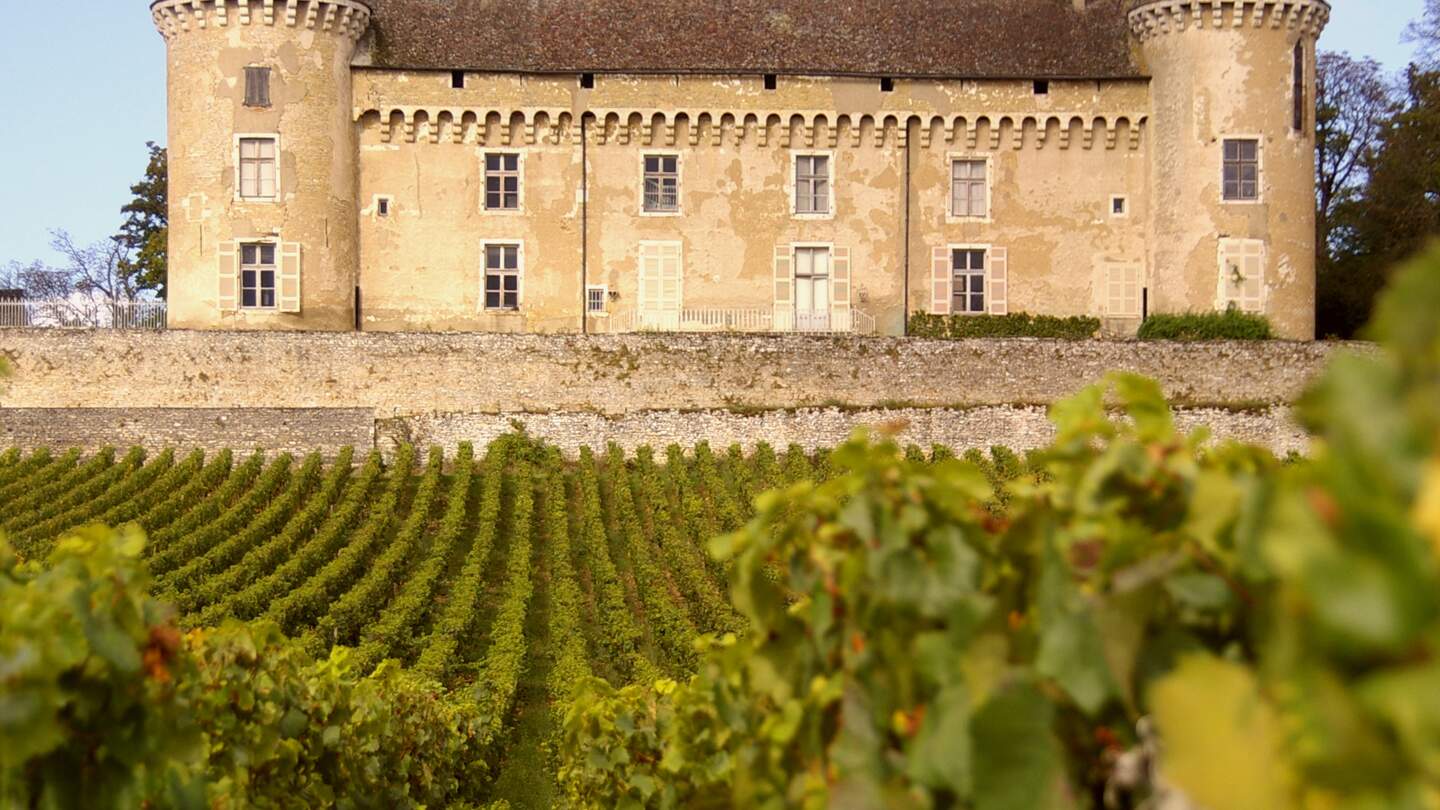 Schloss Bazoches in Burgund mit Weinreben im Vordergrund | © Gettyimages.com/Ngataringa