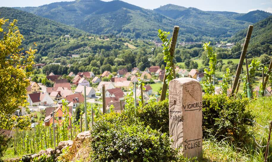 Elsässer Weinberg Landschaft mit verziertem Meilenstein im Vordergrund Richtung: Weinberg, Rathaus, Kirche im Elsass | © Gettyimages.com/olrat