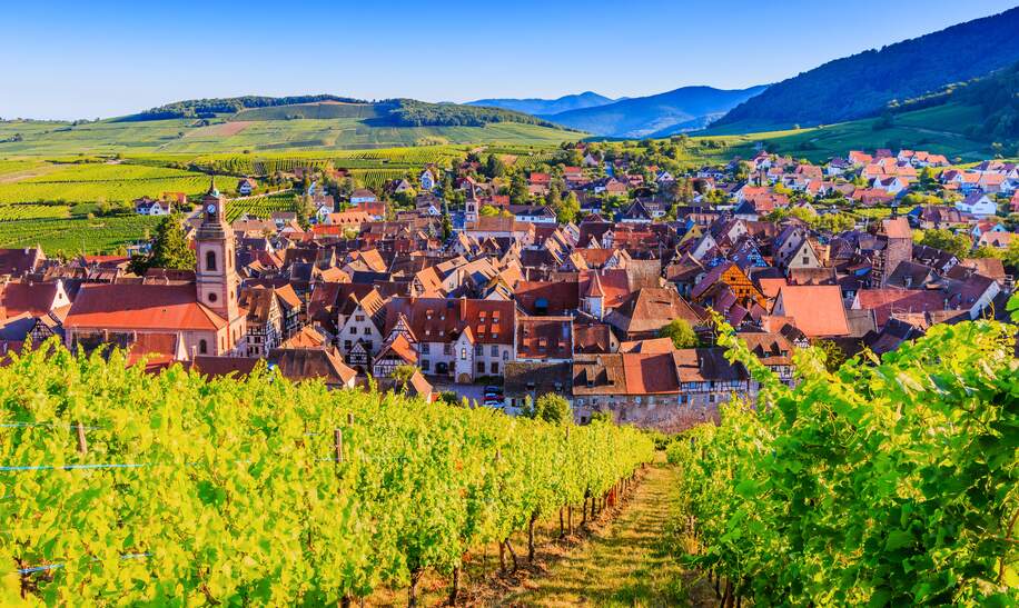 Riquewihr, Frankreich. Landschaft mit Weinbergen in der Nähe des historischen Dorfes. Die elsässische Weinstraße. | © Gettyimages.com/scstock