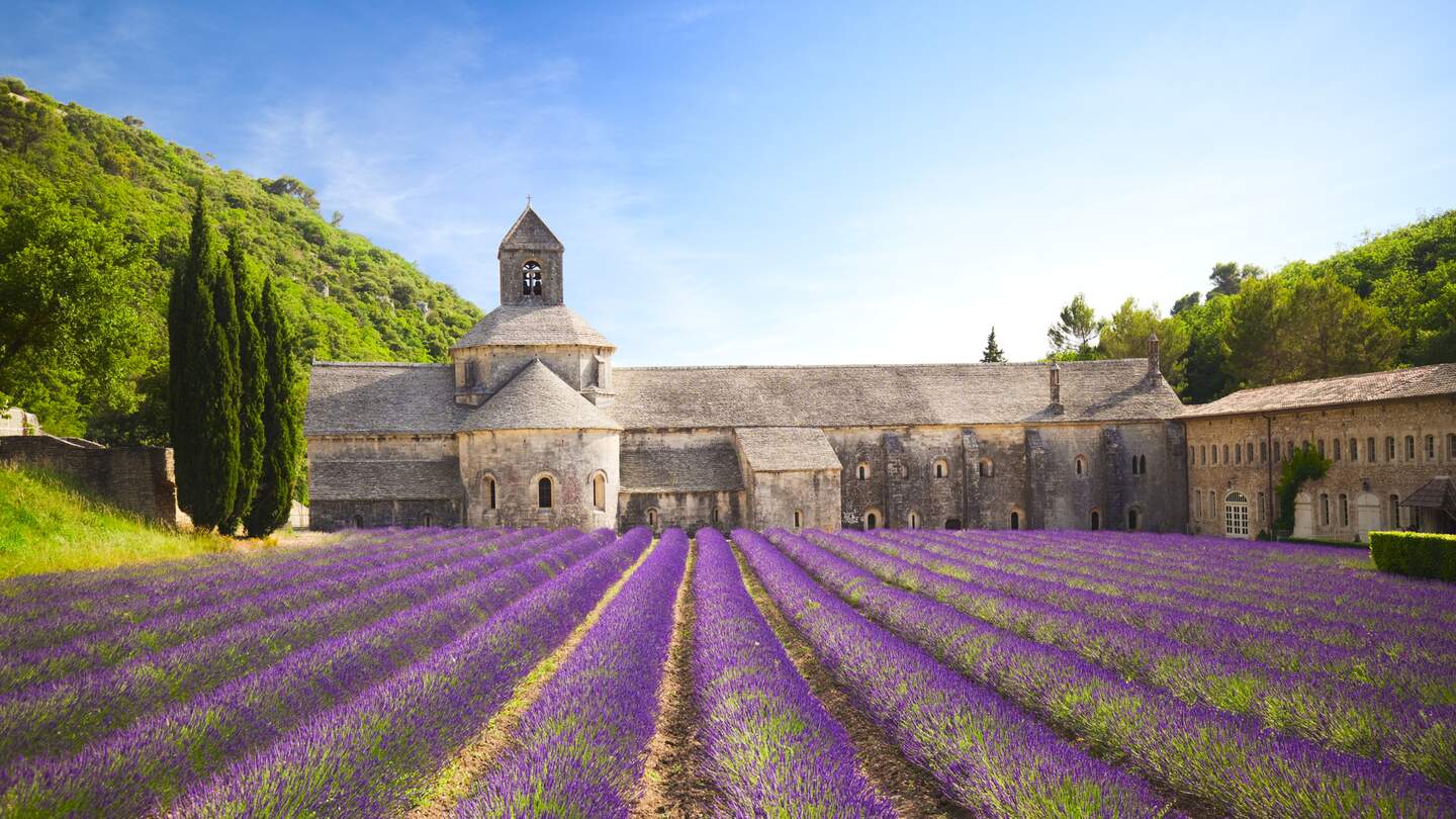 "Senanque Abtei mit blühendem Lavendelfeld (Provence, Frankreich) | © Gettyimages.com/brzozowska