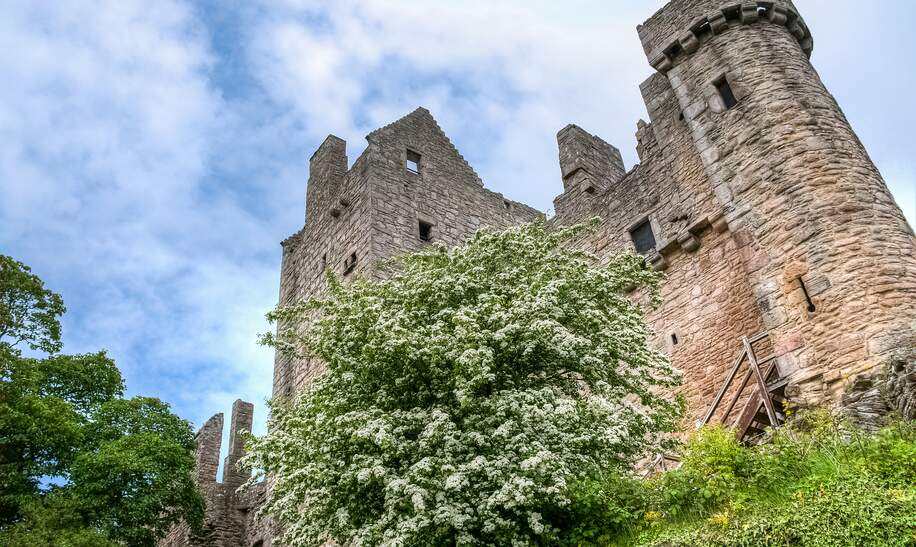Niedriger Winkel der Burgmauern von Craigmillar, in der Nähe von Edinburgh, Schottland, Grossbritannien | © Gettyimages.com/davidboutinphotography
