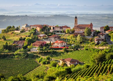 Weinberge in Piemonte | © Gettyimages.com/ladiras