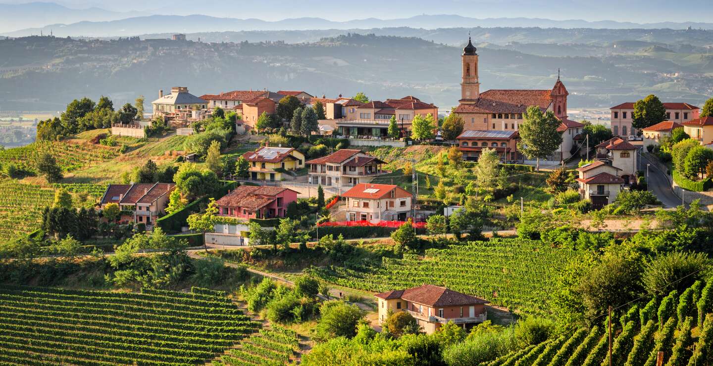 Weinberge in Piemonte | © Gettyimages.com/ladiras