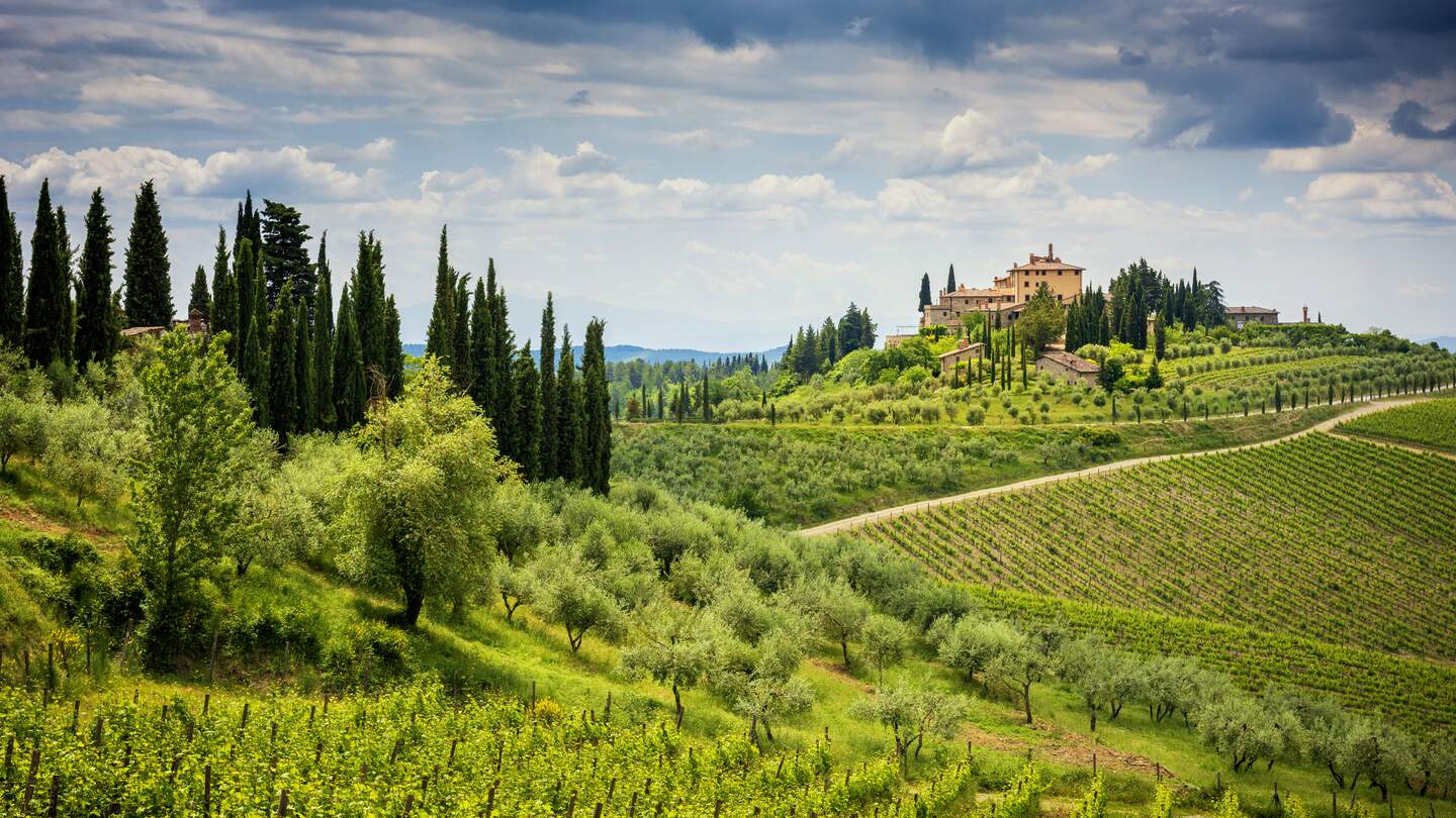 Die Chianti-Berge (auch bekannt als Chianti-Gebirge) sind eine kurze Bergkette (ca. 20 km), die sich über die Provinzen Florenz, Siena und Arezzo erstreckt und die östliche Grenze der Chianti-Region mit dem Valdarno und dem Val di Chiana markiert. Die Chianti-Hügel sind berühmt für die Weinberge, in denen Sie einen Wein erhalten, der auf der ganzen Welt bekannt ist. | © Gettyimages.com/massimosanti