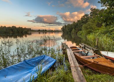 Ruderboote im Schilf am Seeufer während eines wunderschönen Sommersonnenuntergangs | © Gettyimages.com/creativernature_nl