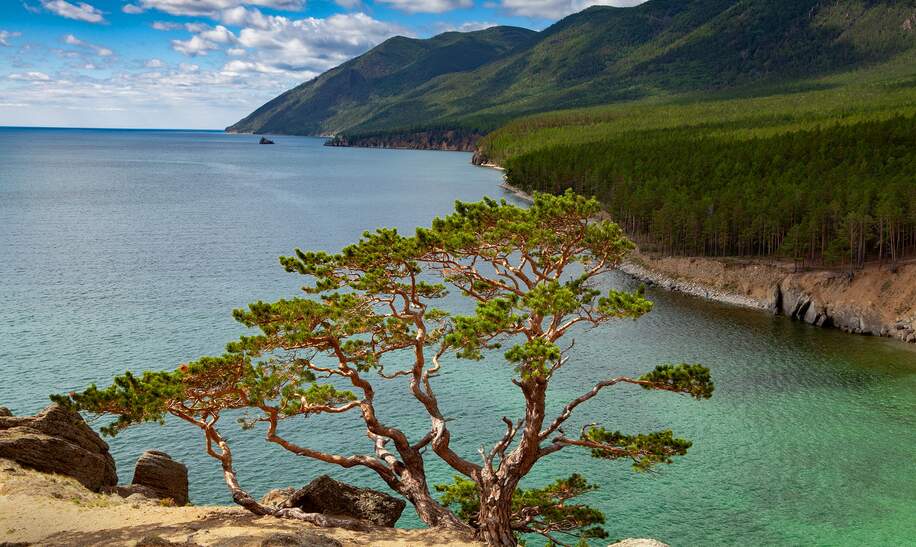 Baikalsee mit klarem blauem Wasser, umgeben von einem dichten Wald und einer Bergkette im Hintergrund | © gettyimages.com/ALEXEY AVDEEV