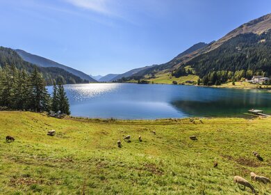 Der Davosersee ist ein kleiner natuerlicher See im Kanton Graubuenden, Schweiz. | © gettyimages.com/FlavioVallenari