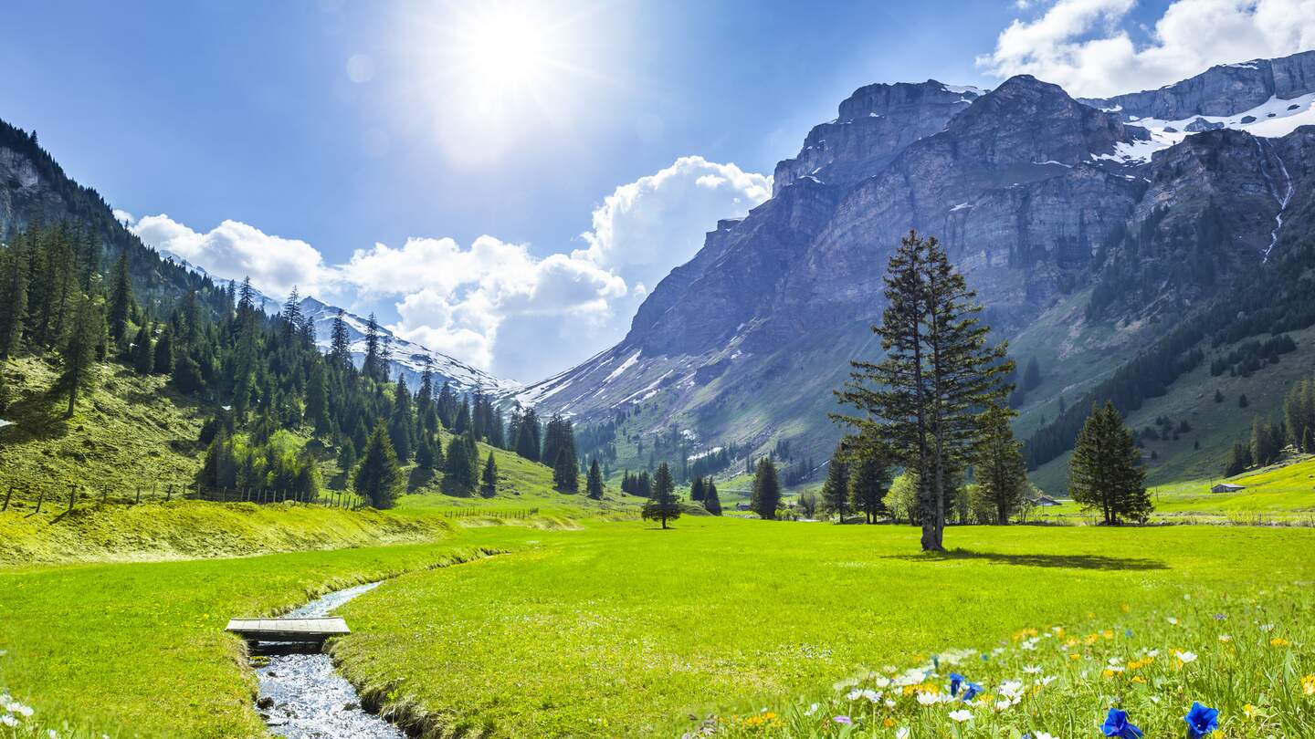 Der Himmel ist blau; die Blumen fangen an zu bluehen | © Gettyimages.com/bystudio