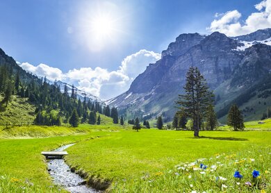 Der Himmel ist blau; die Blumen fangen an zu bluehen | © Gettyimages.com/bystudio