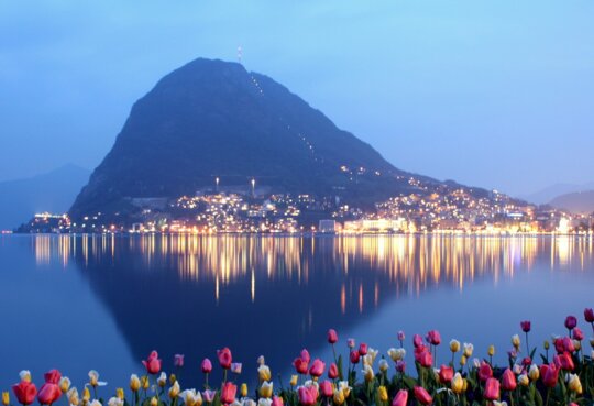 Im Vordergrund sind einige Tulpen zu sehen, in einiger Entfernung sieht man Lugano bei Nacht | © pixabay/saysay75