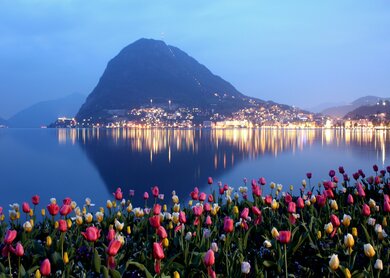 Im Vordergrund sind einige Tulpen zu sehen, in einiger Entfernung sieht man Lugano bei Nacht | © pixabay/saysay75