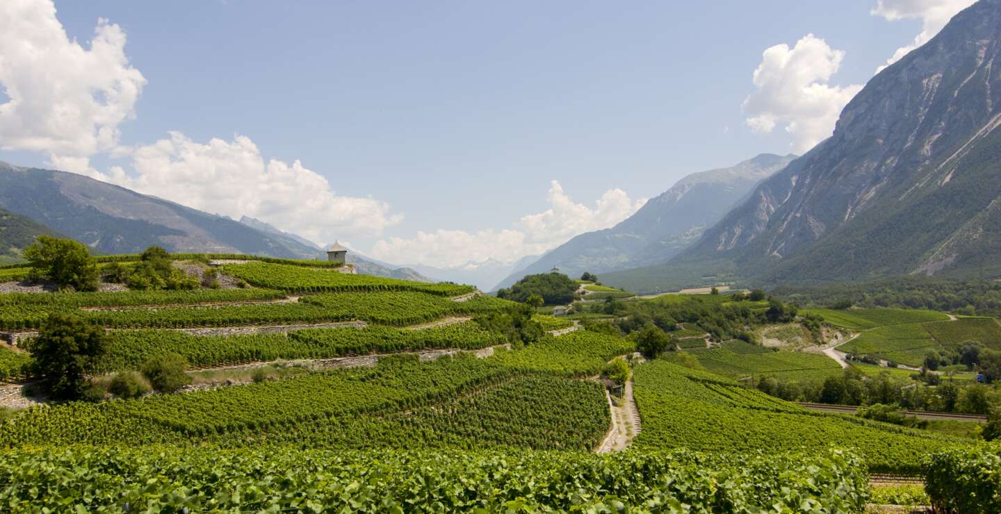 Blick auf einen Weinberg im Rhonetal im Wallis, Schweiz. | © Gettyimages.com/MarkoHeuver