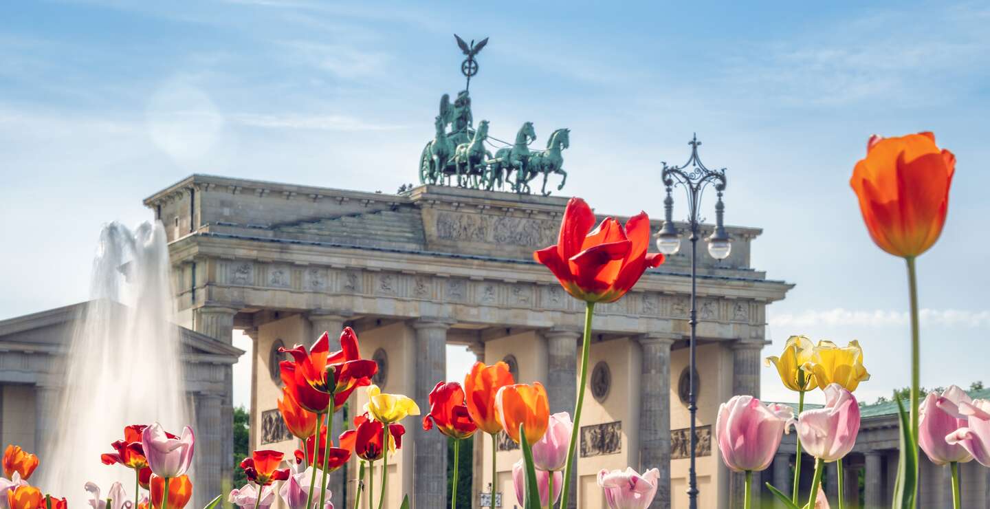 Tulpen vor dem Brandenburger Tor im Frühling | © Gettyimages.com/golero