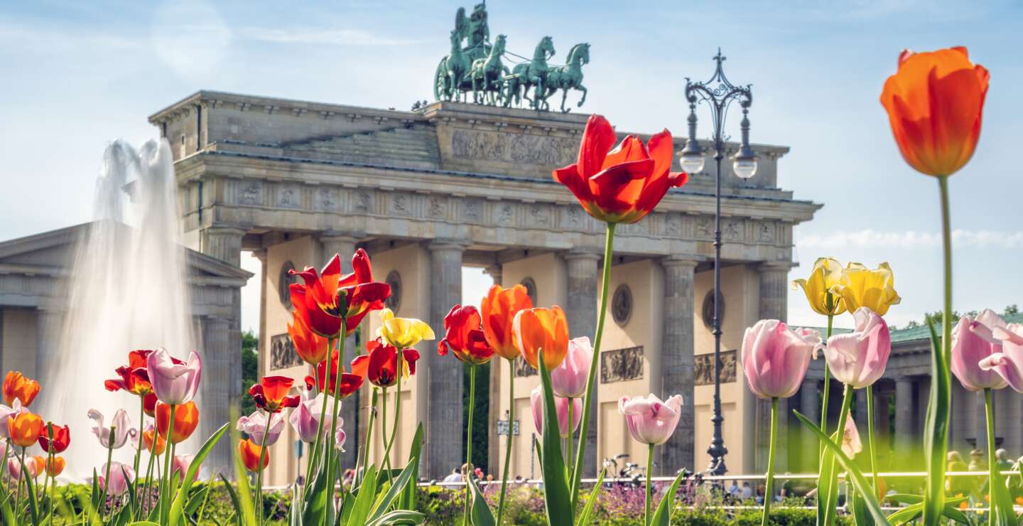 Tulpen vor dem Brandenburger Tor im Frühling | © Gettyimages.com/golero