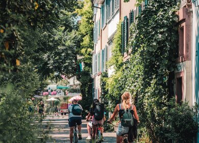 Sommer in Basel mit dem Rad durch die Altstadt | © Basel Tourismus/TEDDY VERNEUIL