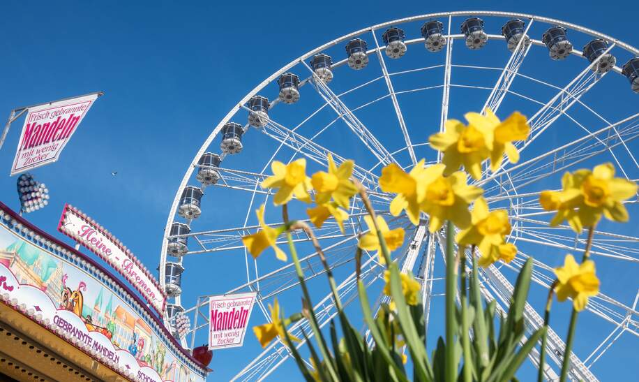 Im Vordergrund sind Narzissen und ein Mandelstand zu sehen, waehrend im Hintergrund ein grosses Riesenrad zu sehen ist.  | © WFB / Carina Tank