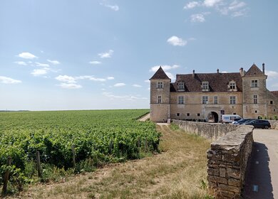 Das historische Château du Clos de Vougeot im Burgund, umgeben von einem weitläufigen, grünen Weinberg unter blauem Sommerhimmel. | © Marie PERRON