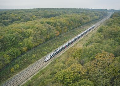 Der Zug SNCF fährt in einer Landschaft zwischen einem grünen Wald hindurch | © Olivier FOULON/SNCF Voyageurs