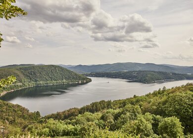 Blick auf das Nordufer des Edersees | © HA Hessen Tourismus, Roman Knie
