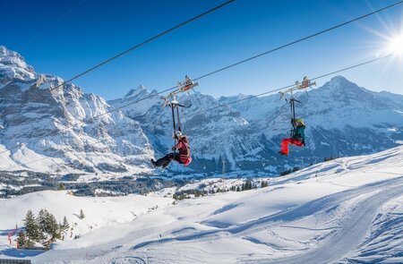 First Flieger | © Jungfraubahnen, David Birri Zwei Personen fahren an einer Zipline über eine verschneite Berglandschaft. Im Hintergrund erheben sich majestätische, schneebedeckte Gipfel unter einem klaren blauen Himmel mit strahlender Sonne. Die Szene vermittelt Abenteuerlust in winterlicher Alpenkulisse. | © Jungfraubahnen, David Birri