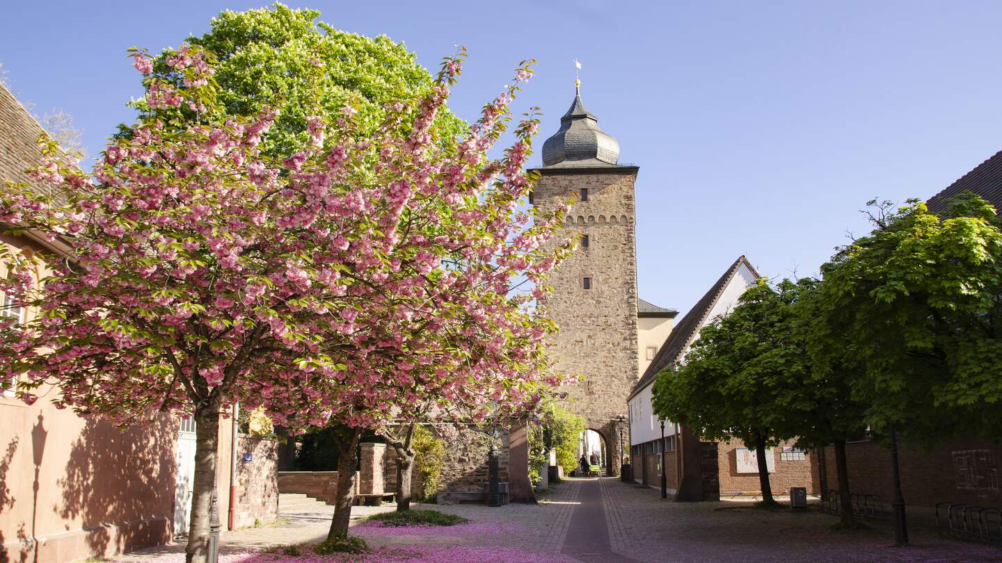 Historische Stadt Durlach | ©  © KTG Karlsruhe Tourismus GmbH 