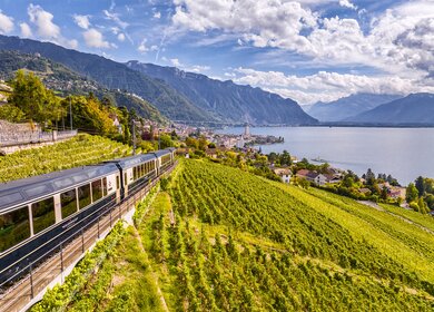 Bahn-Erlebnisreise: Panoramazug GoldenPass Express in der Schweiz | © David-Bochud